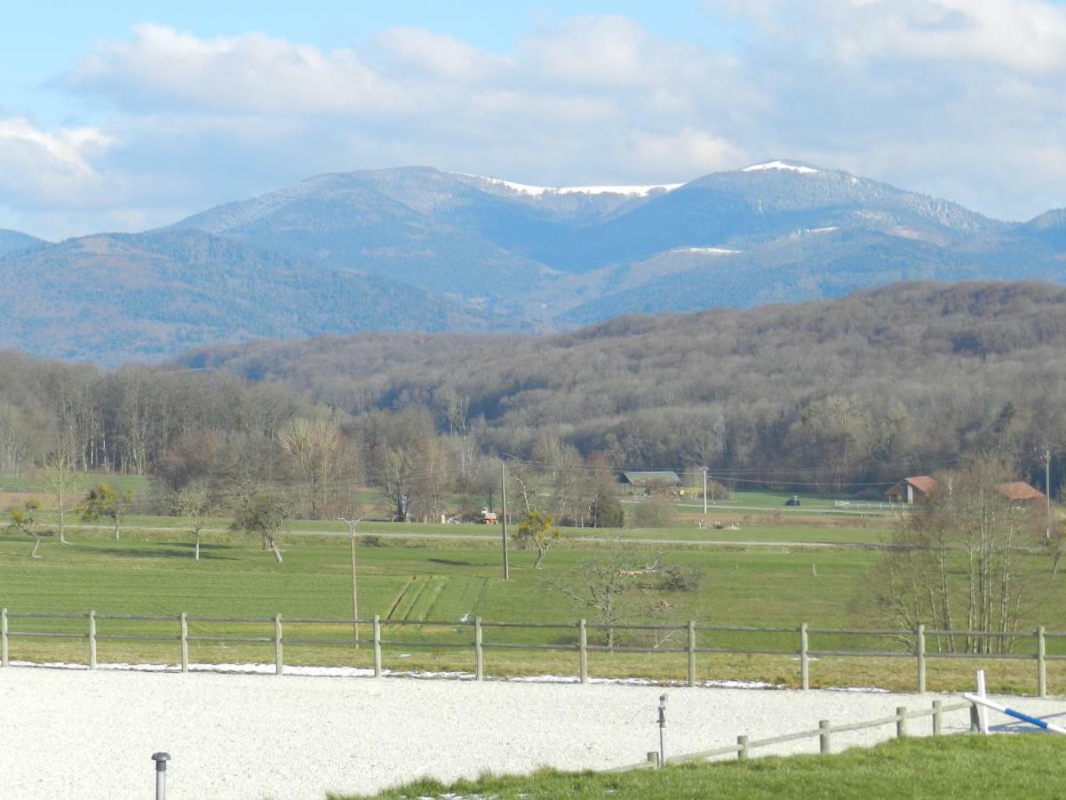 Oscar'S Home Soppe-le-Bas Bagian luar foto